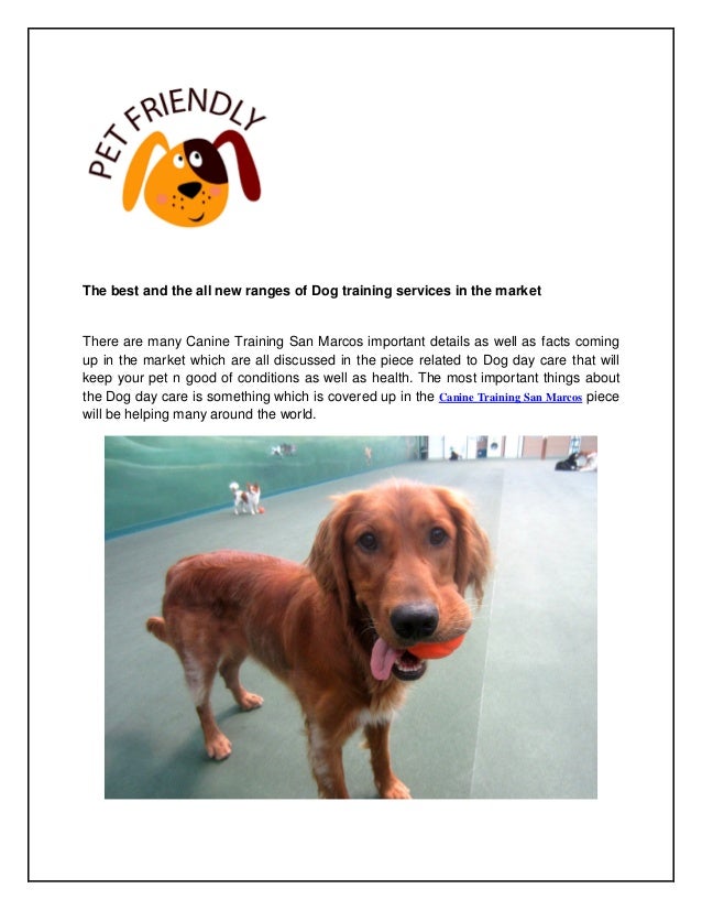 dog boarding encinitas dog boarding encinitas